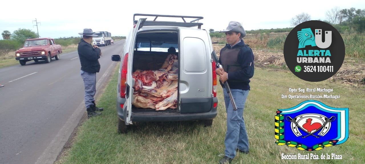 Presidencia de la Plaza: quedó aprehendido por abigueato, llevaba 300 Kg de carne en su auto 