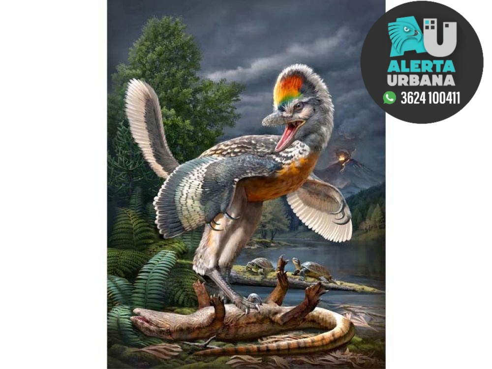 Un extraño dinosaurio con patas largas y parecido a un pájaro cautiva a los científicos