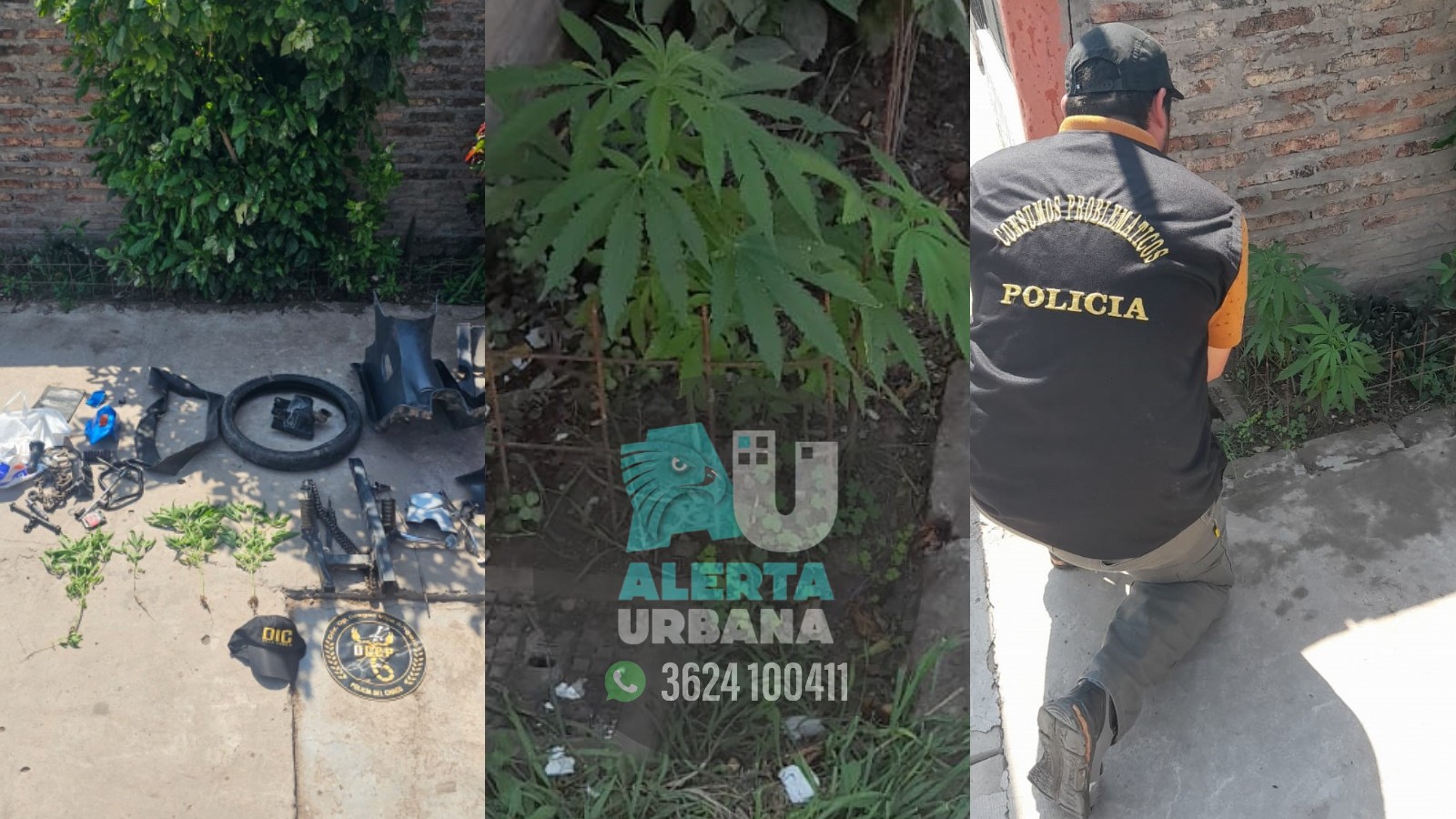 Villa Ángela: robo,allanamiento, aprehendido y marihuana incautado 
