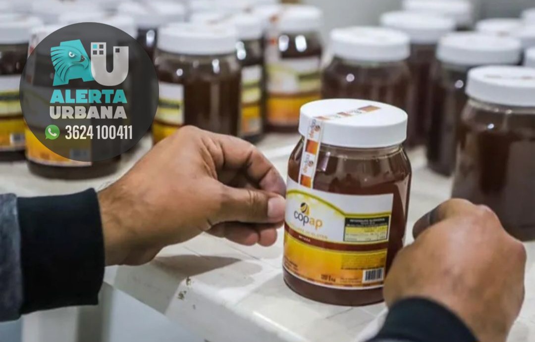 Chaco exportó 22 toneladas de miel orgánica a Alemania