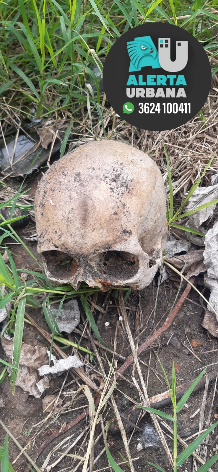 Resistencia: Encontraron restos óseos  en Avenida Las Heras y Rodríguez Peña