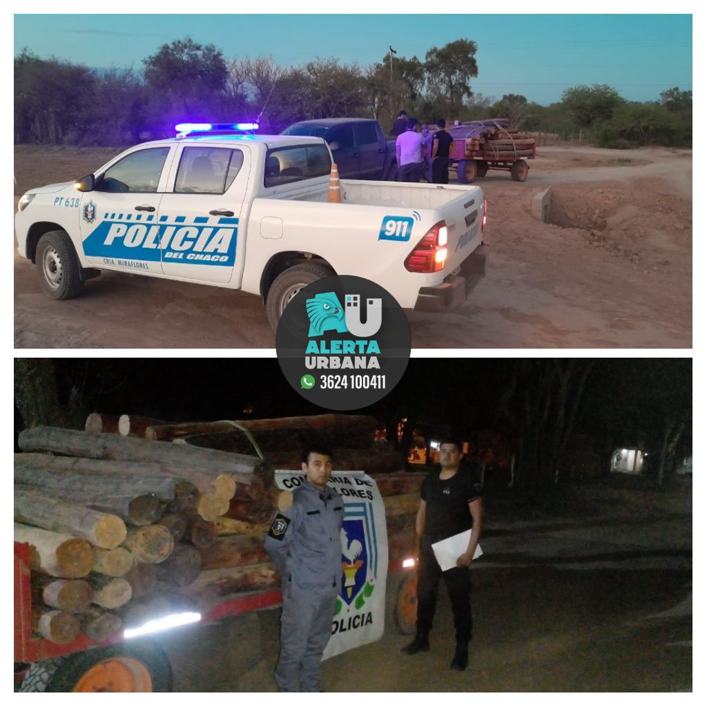Miraflores: 70 postes de quebracho sin documentación fueron secuestrados
