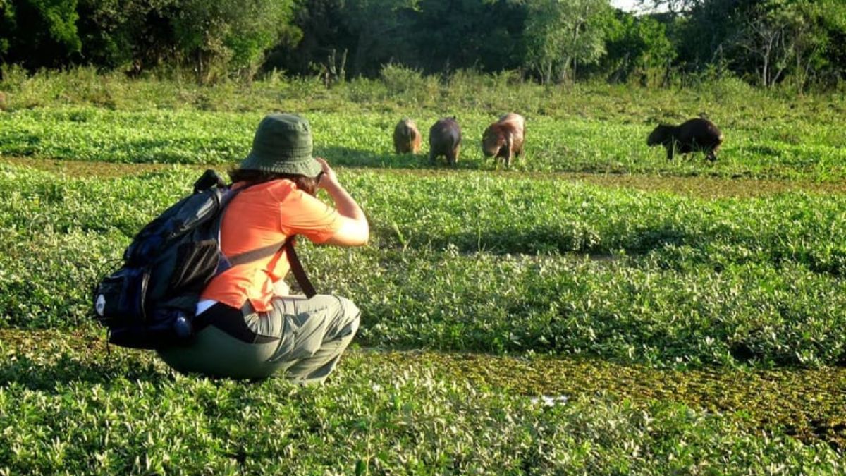 Grave denuncia de una turista italiana: sostuvo que abusaron sexualmente de ella en los Esteros del Iberá