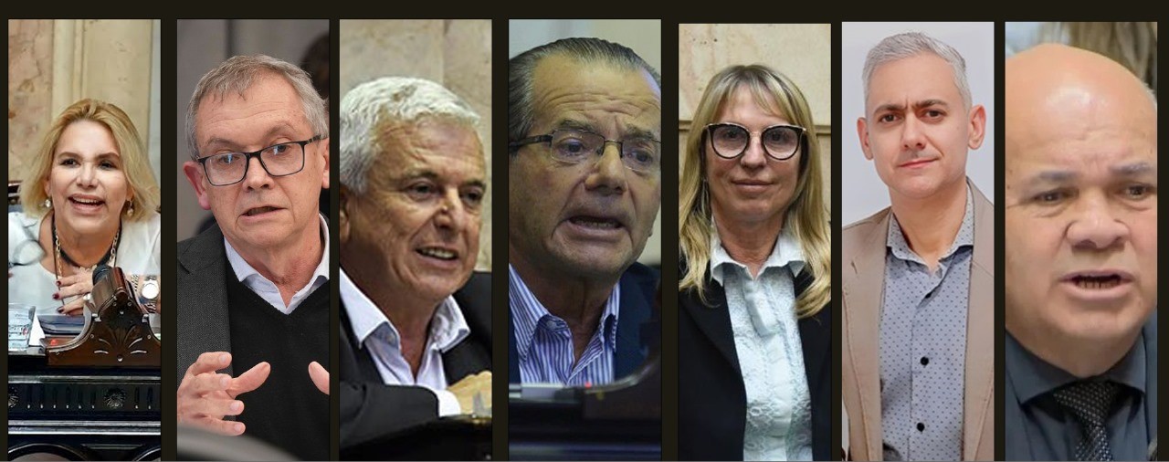 ¿Cómo votaron los diputados chaqueños por el veto de Milei a jubilados?