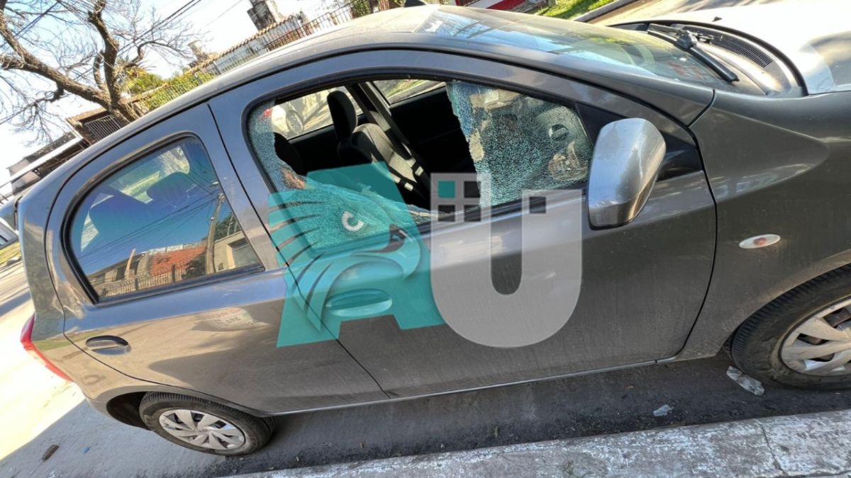 Rompió un auto para robar una cartera, piden viralizar al delincuente 