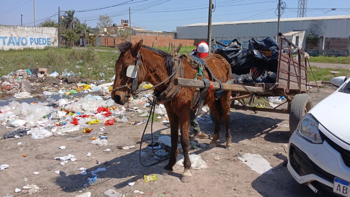 Se trasladaba en un carro tirado por un caballo y lo atraparon tirando basura: quedó detenido