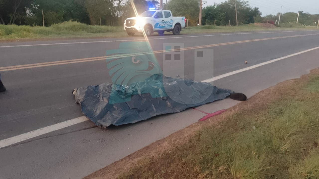 Barranqueras: un hombre apareció muerto al costado de la avenida San Martín, investigan si fue atropellado 