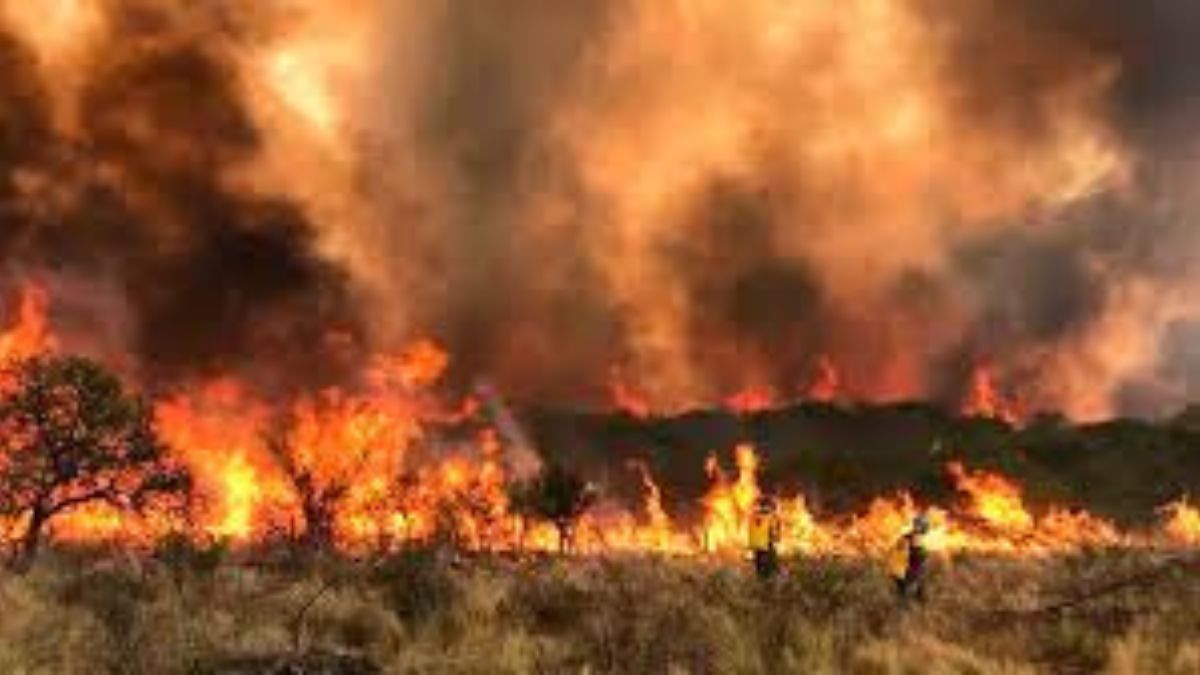 Incendios en Córdoba: las horas dramáticas de San Marcos Sierra