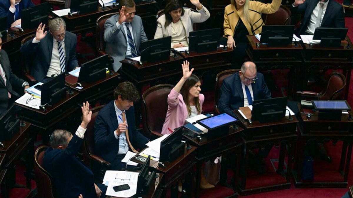 Bochazo para Milei en el Senado: ya es ley el Financiamiento Universitario