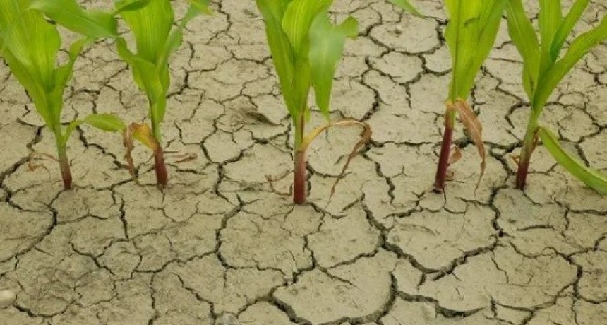 Para septiembre y octubre se esperan menos lluvias que en los valores históricos