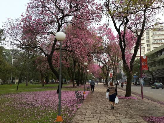 La primavera comienza con cielo despejado y una máxima de 31ºC para Resistencia y 35ºC para Sáenz Peña