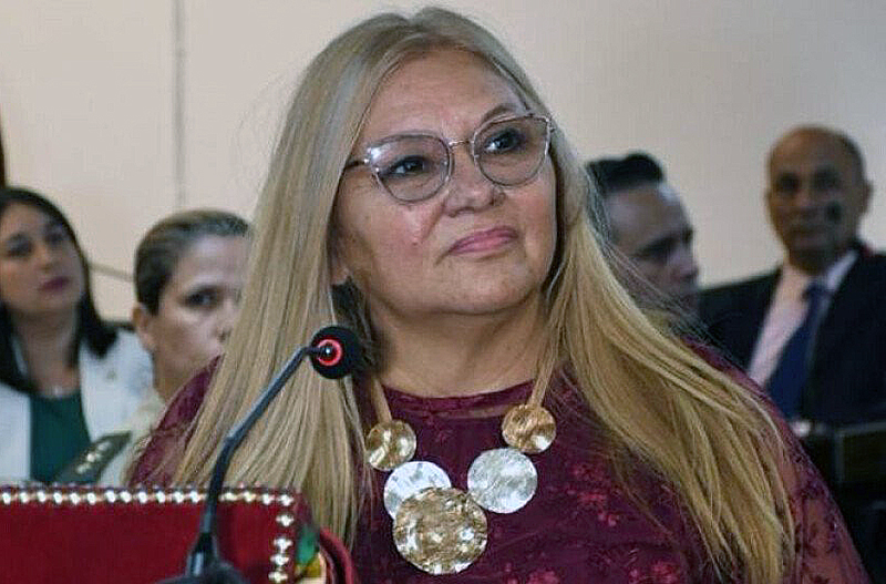  “Deben definirse si están a favor del pueblo o de Capitanich”, dijo Delgado por los diputados del peronismo
