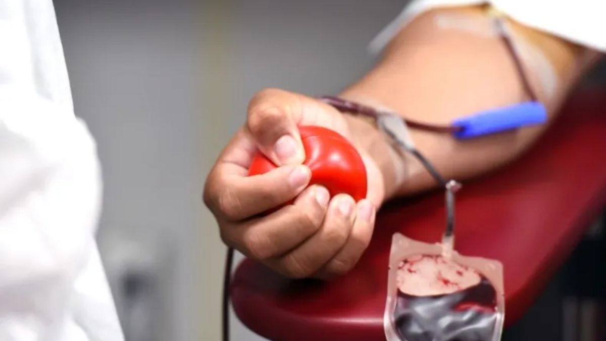 Resistencia: se necesitan dadores de sangre