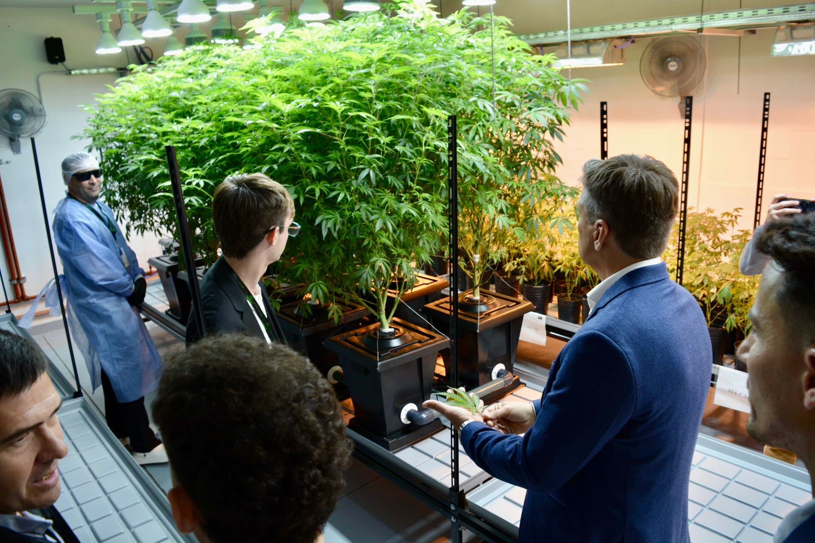 En Colonia Elisa, Zdero inauguró planta que exportará cannabis medicinal