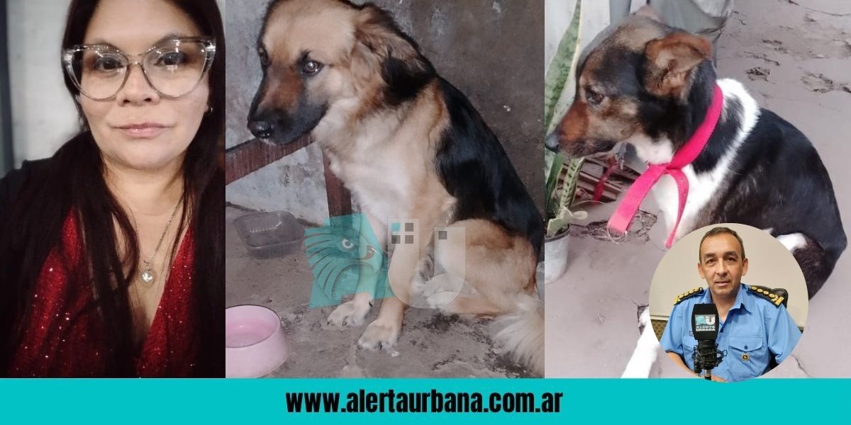 Alerta Urbana con compromiso ciudadano: Romero se comprometió a colaborar con la reubicación de perros