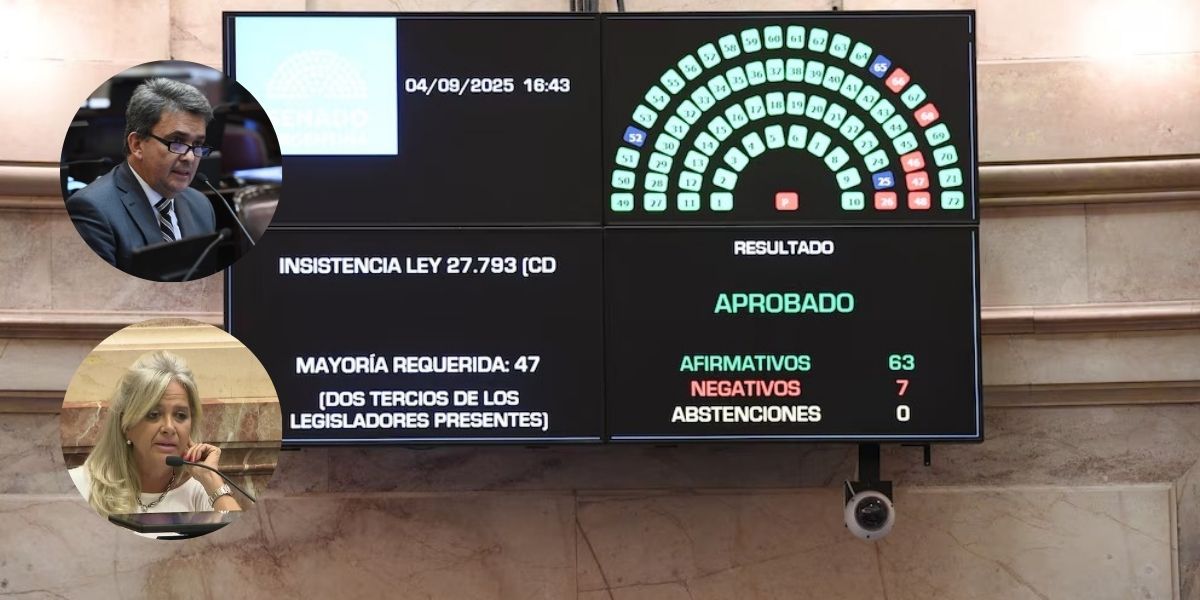 Rechazo al veto por la emergencia en discapacidad ¿Cómo votaron los chaqueños?