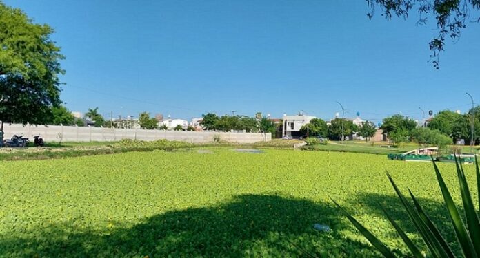 Estudio de la UNNE releva el daño ambiental de asentamientos alrededor de la laguna Francia