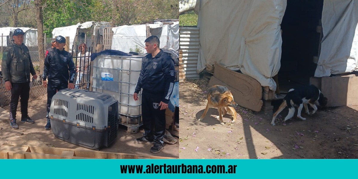Compromiso cumplido de la Policía: trasladaron dos perros a Charata