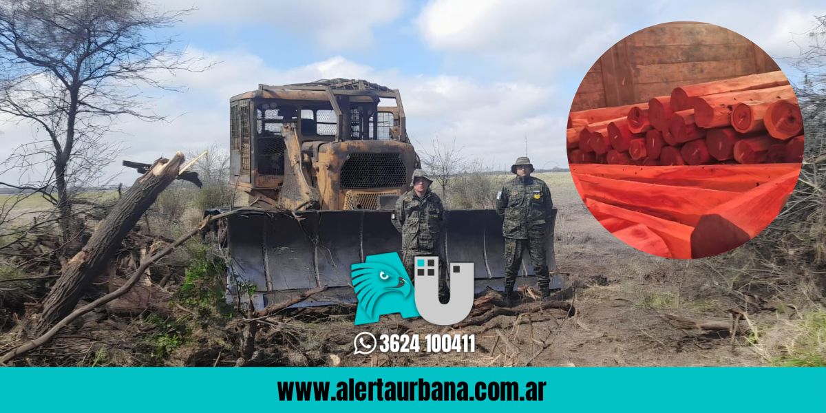 Secuestran maquinaria y carga ilegal de quebracho colorado en operativos de control forestal en Chaco 