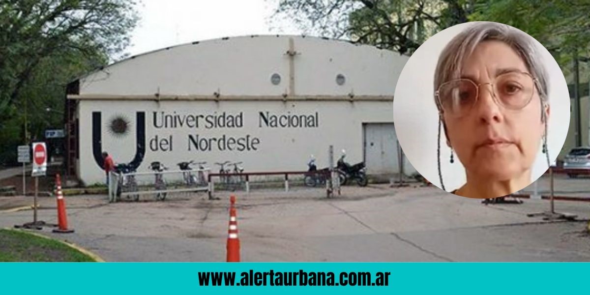  Veto a fondos para universidades: “Desde que está Milei perdimos el equivalente a 6 sueldos”, señalan docentes