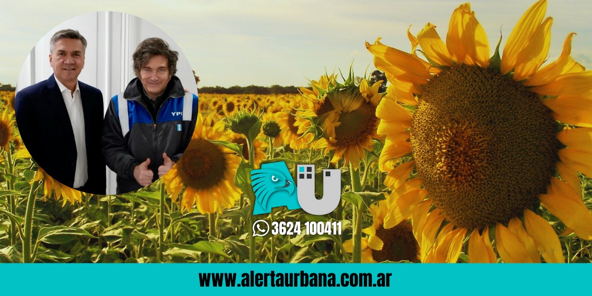Exclusivo Alerta Urbana: los $2.500 millones del ATN se destinarán al seguro multirriesgo para girasol