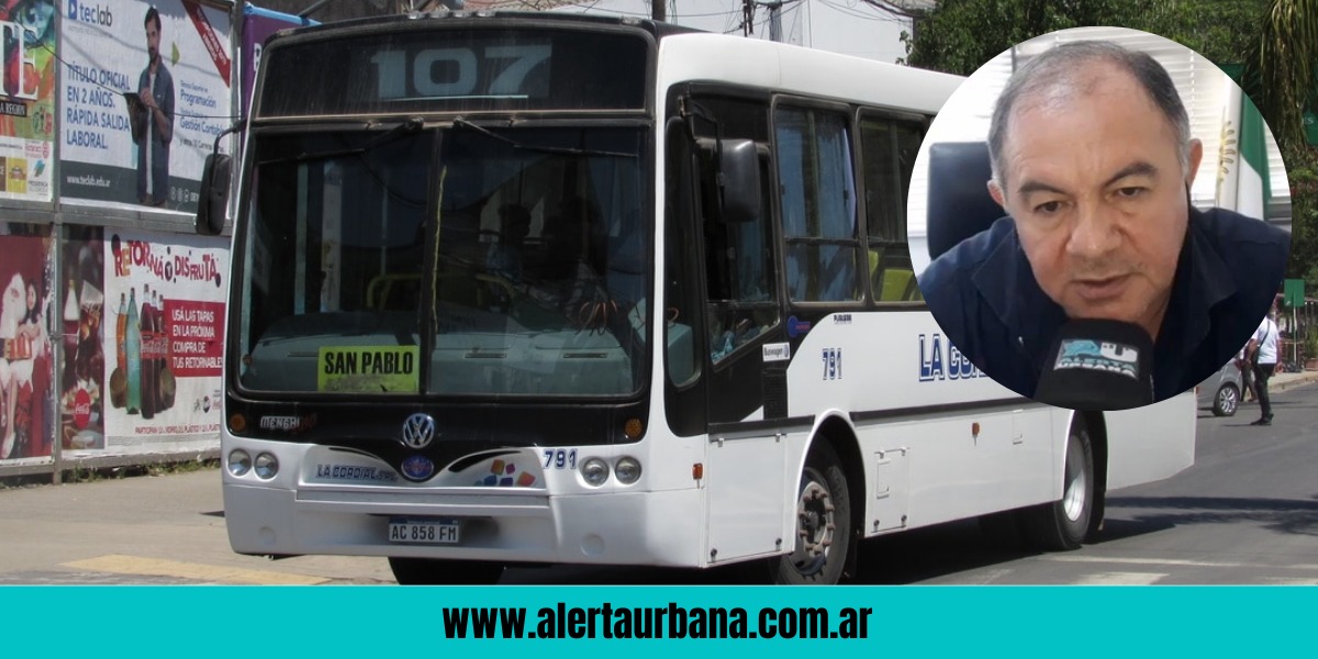 Díaz desmintió paro en la Línea 107 y garantizó fondos para los subsidios