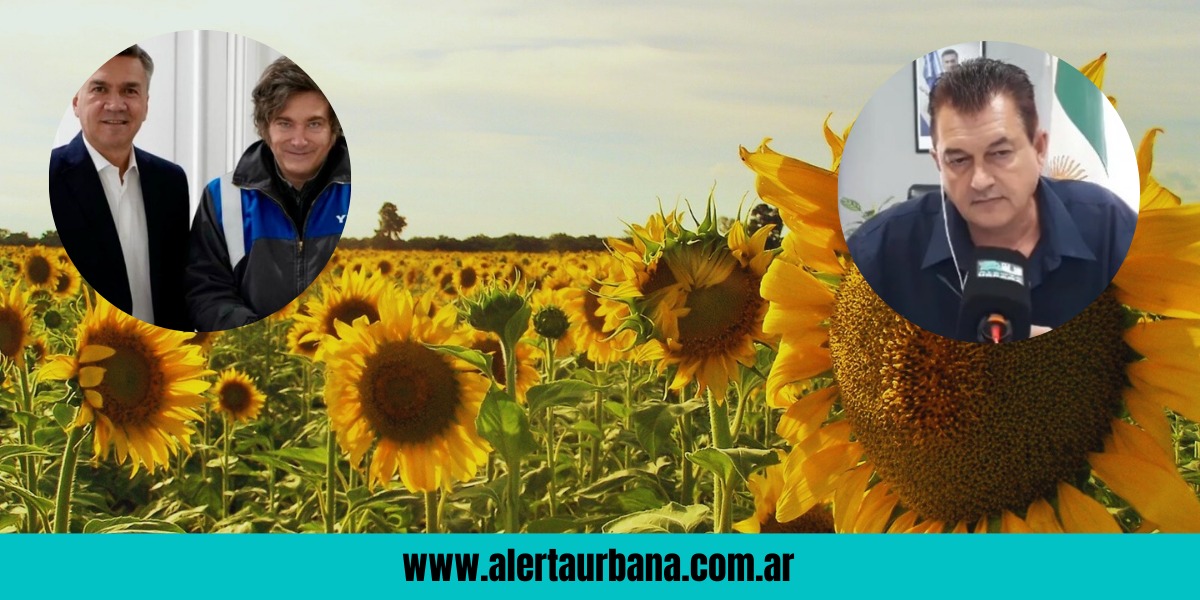 “El gobernador dijo ‘decisión tomada’”: Dudik confirmó que el ATN su usará para el seguro del girasol