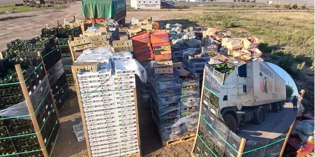 Gancedo: decomisan 26 toneladas de frutas sin documentación y riesgo sanitario