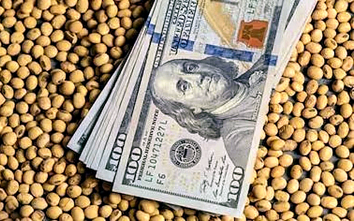 Vuelven las retenciones: se agotó en tres días el cupo de USD 7.000 millones al 0% 