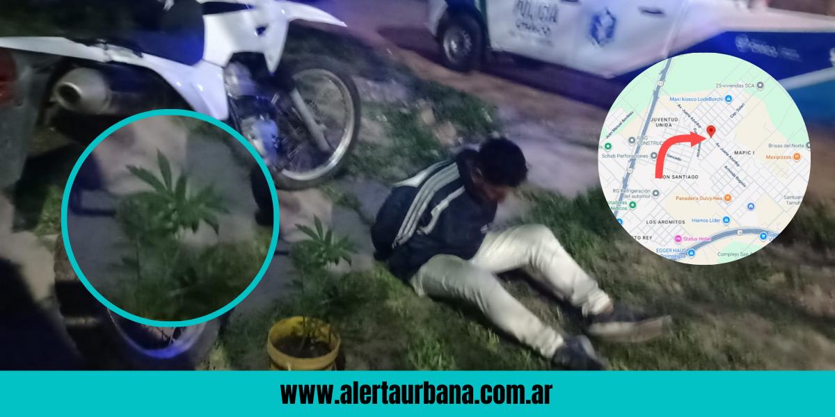 Sacó a pasear su plantita: Incautan marihuana en un control callejero en Resistencia