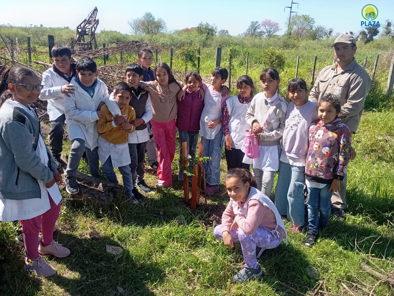 El municipio de Presidencia de la Plaza avanza con su plan forestal urbano