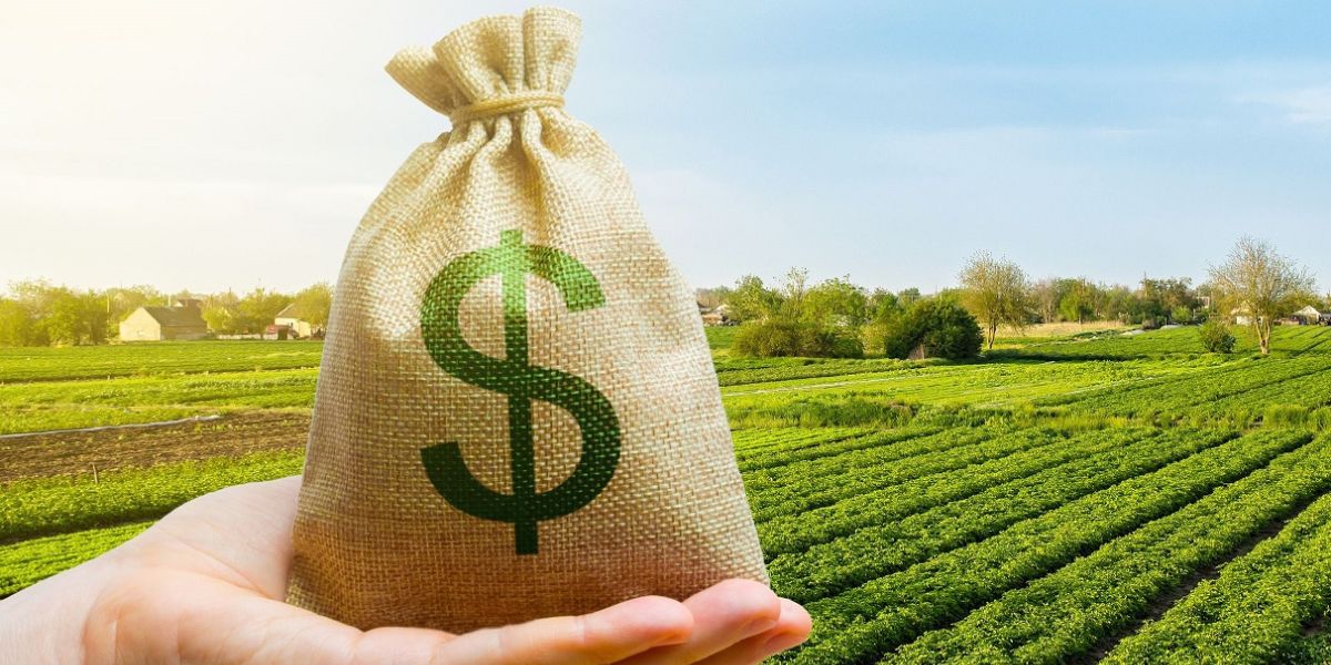 El fraude de las retenciones cero: quiénes son los 12 que ganaron millones afectando a productores