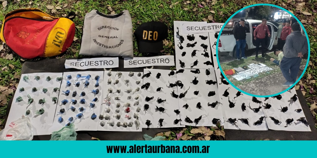 Resistencia: cae presunto dealer con más de 150 bochitas de marihuana 
