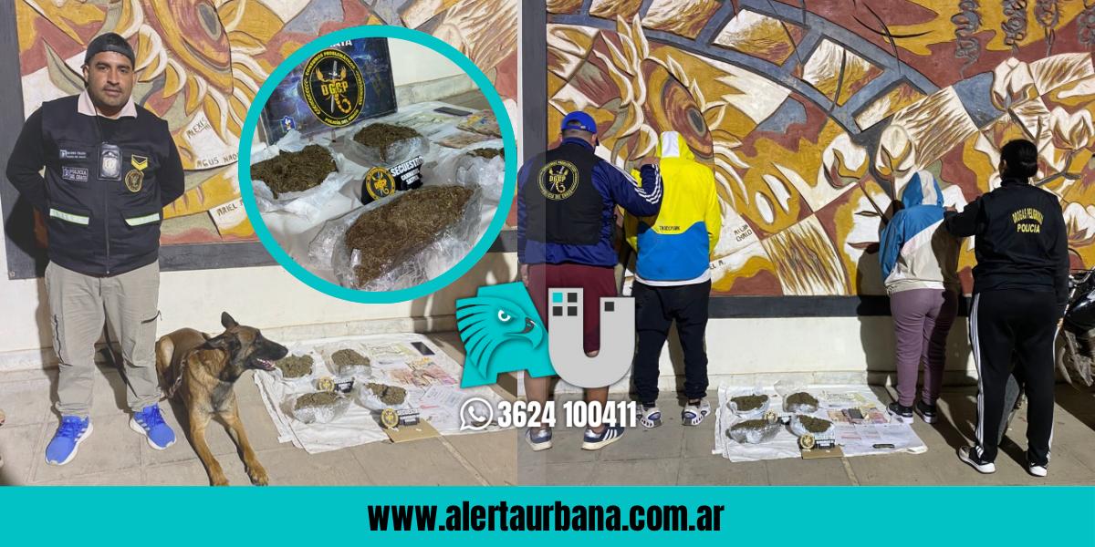 Incautaron más de dos kilos de marihuana en un operativo en la terminal de Las Breñas