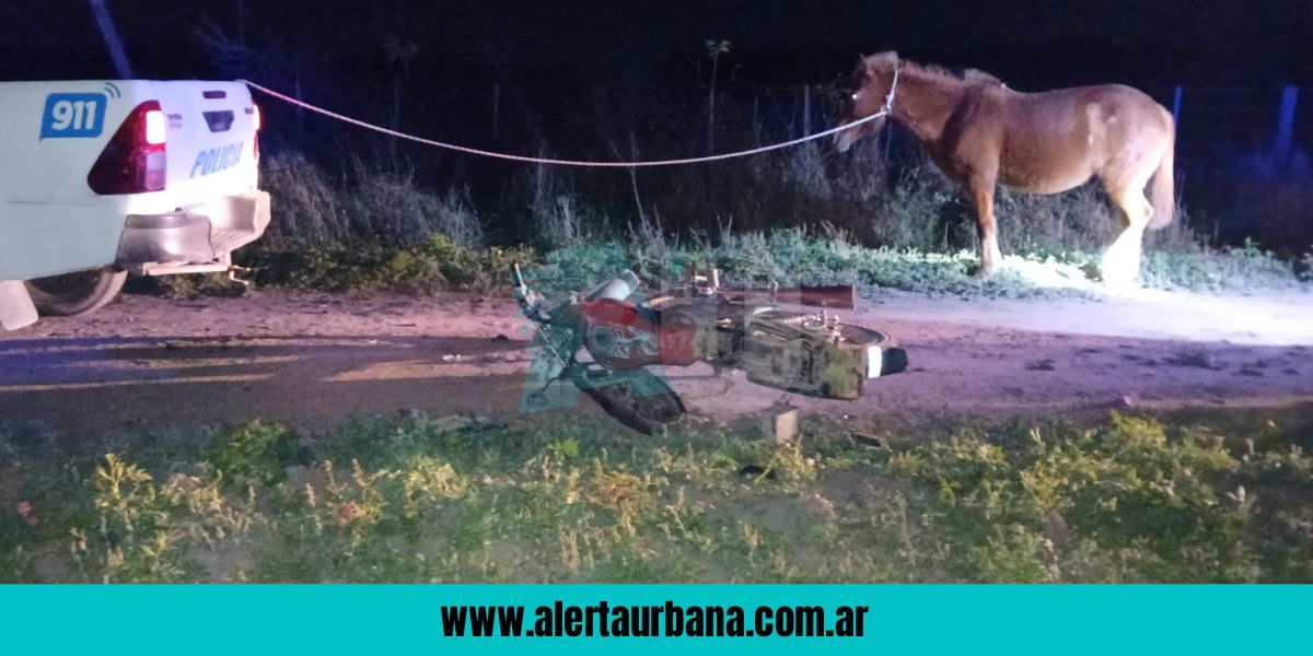 Borracho atropelló un caballo en camino vecinal y luego se escapó del hospital