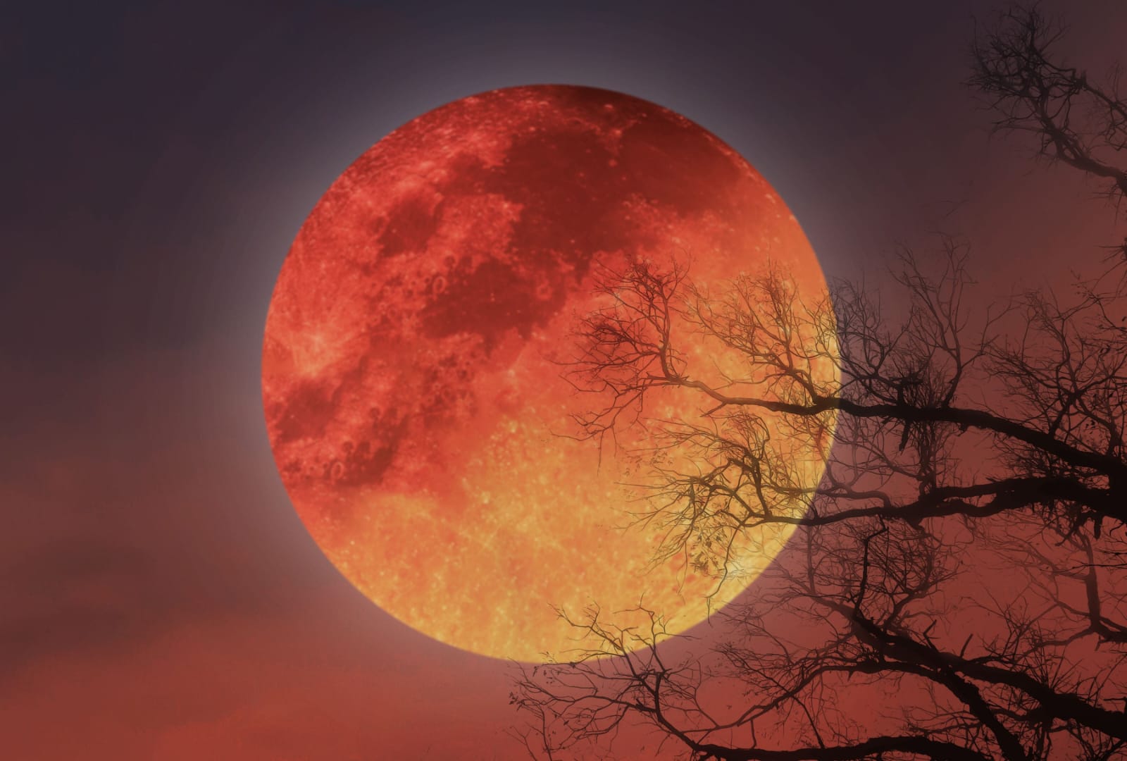 Luna de Sangre de septiembre: así afectará a cada signo