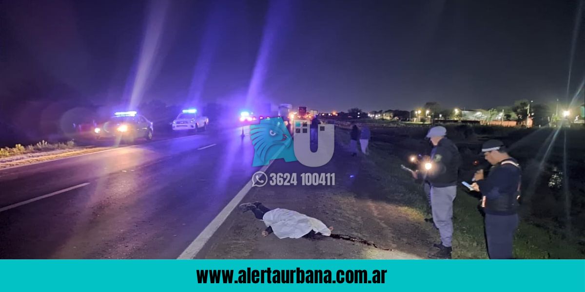 Tragedia en Ruta 11: un peatón murió tras ser embestido por un camión 