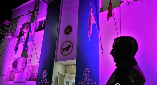 Luces violetas en Diputados para concienciar sobre la epilepsia