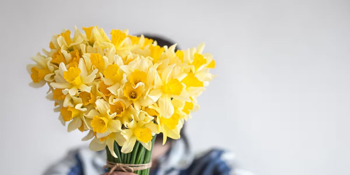 Llega la primavera y se regalan flores amarillas: el origen de la tradición