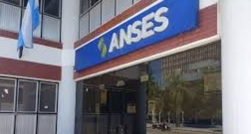 ANSES: demoras en sistema de datos y encuestas a nivel nacional