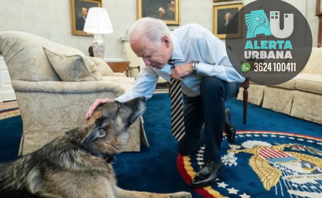 Commander se portó mal. Echaron al perro de Joe Biden de la Casa Blanca