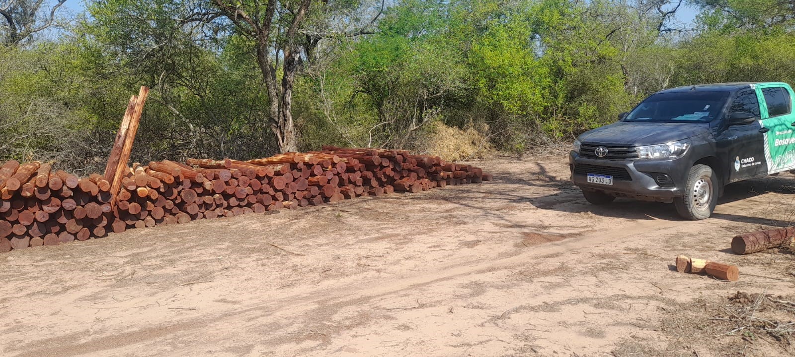 Desmonte ilegal: recuperan en El Impenetrable más de 1200 postes de quebracho colorado