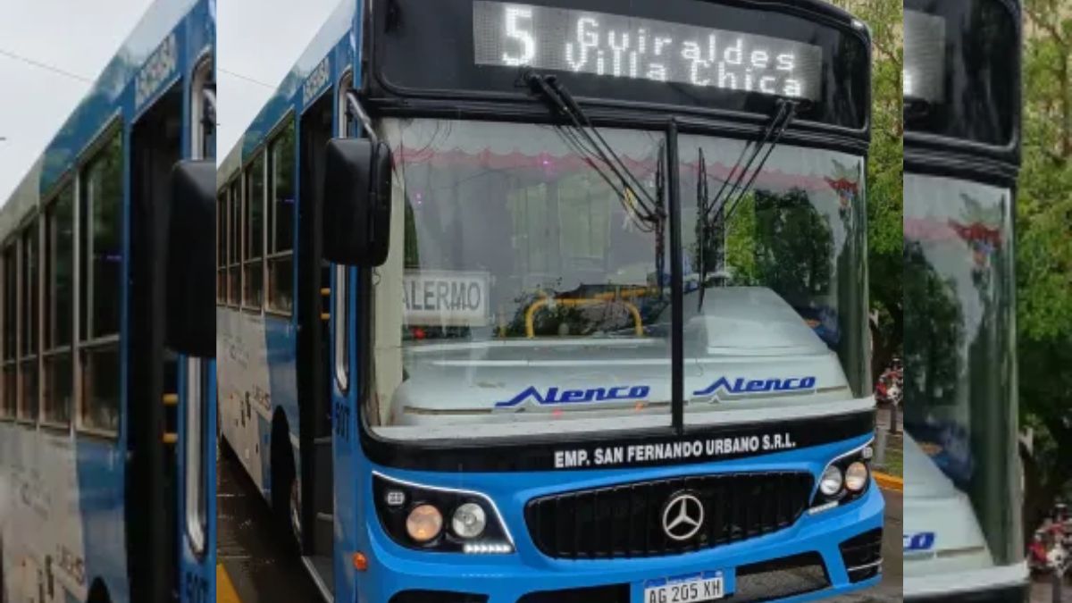 La línea 5 cambia su recorrido por un bacheo en Avenida San Martín 