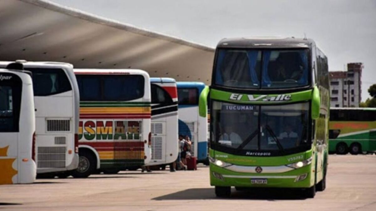 Tras el decreto de desregulación, empresas de transporte dejan de operar rutas que no son rentables