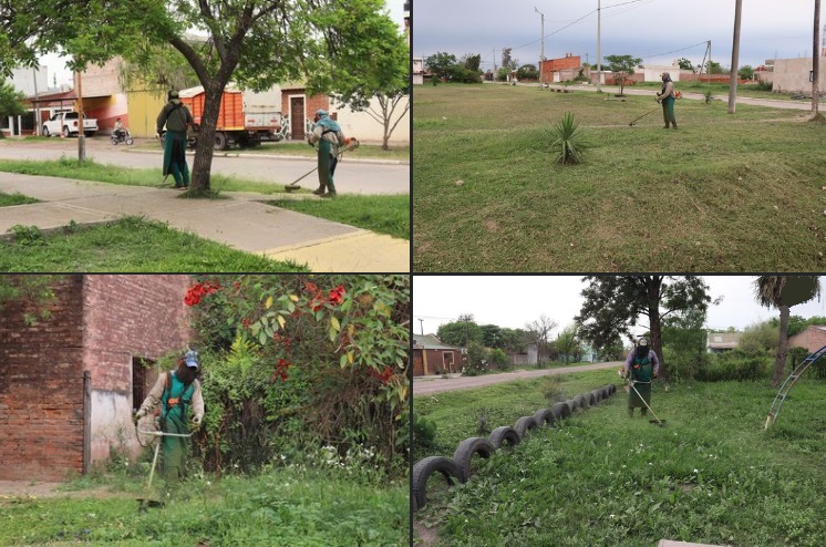 El municipio de Presidencia de la Plaza completó operativo de desmalezado urbano