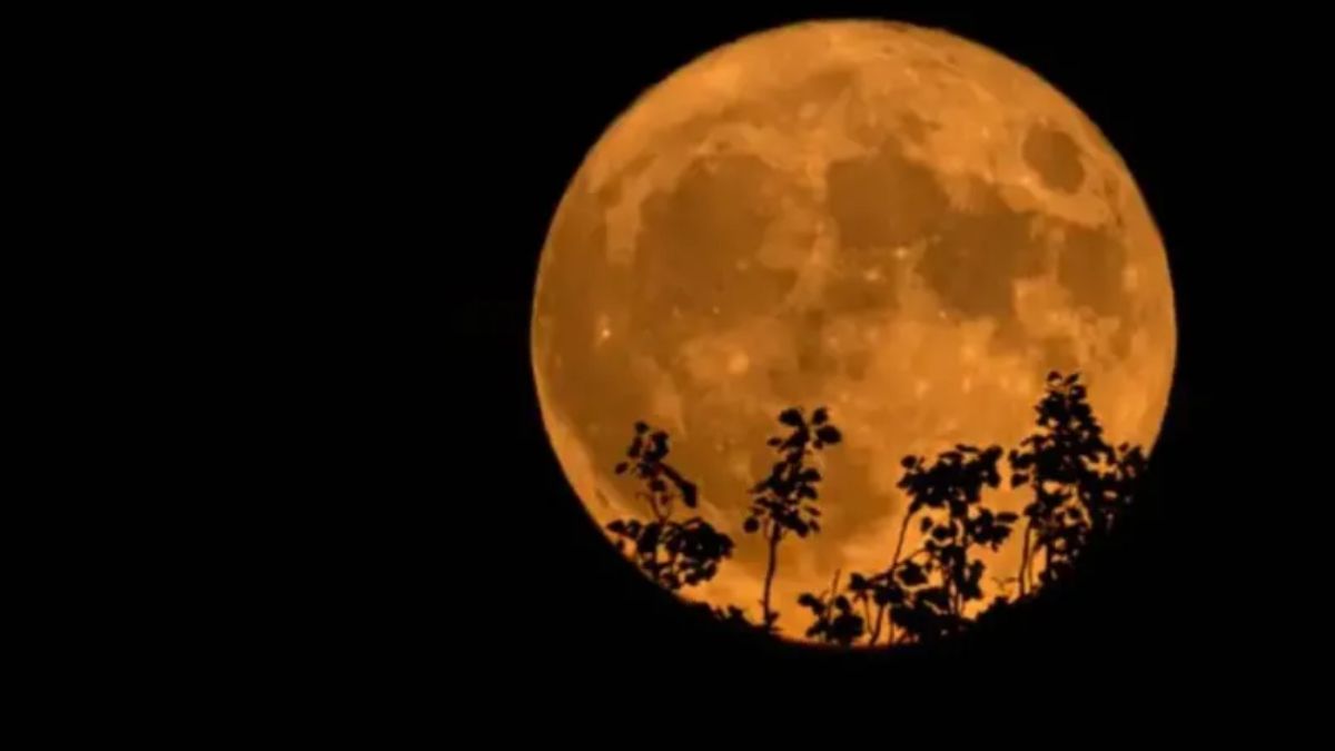 Se viene la última Superluna del año, denominada  