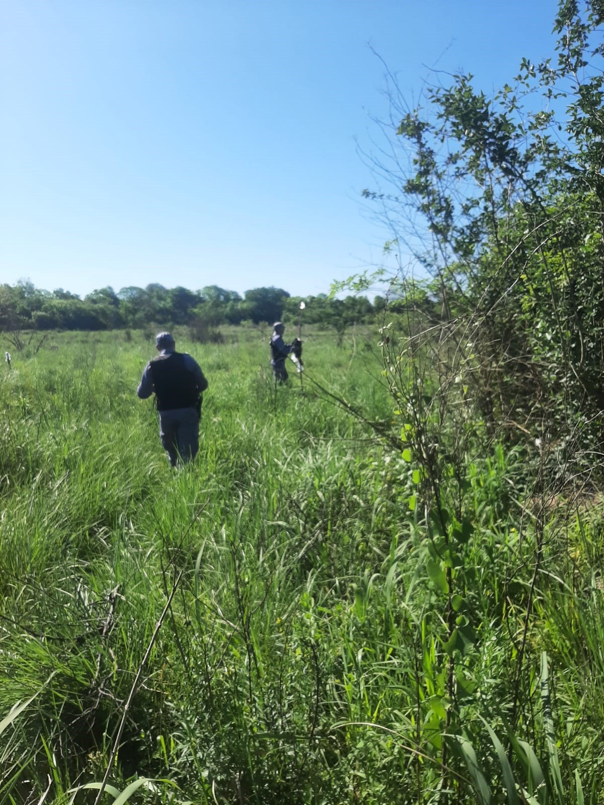 Desactivan la ocupación ilegal de un terreno en Fontana