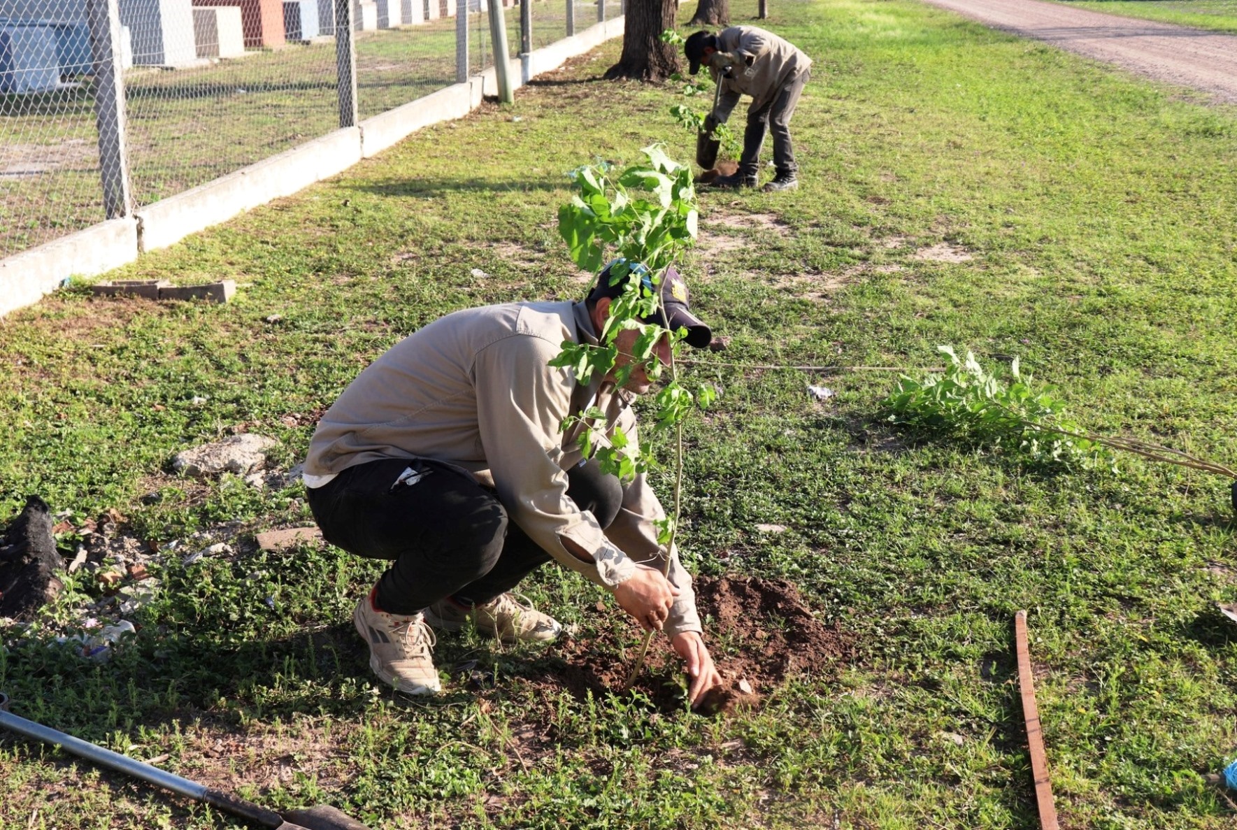 El municipio de Presidencia de la Plaza completó jornada de reforestación 