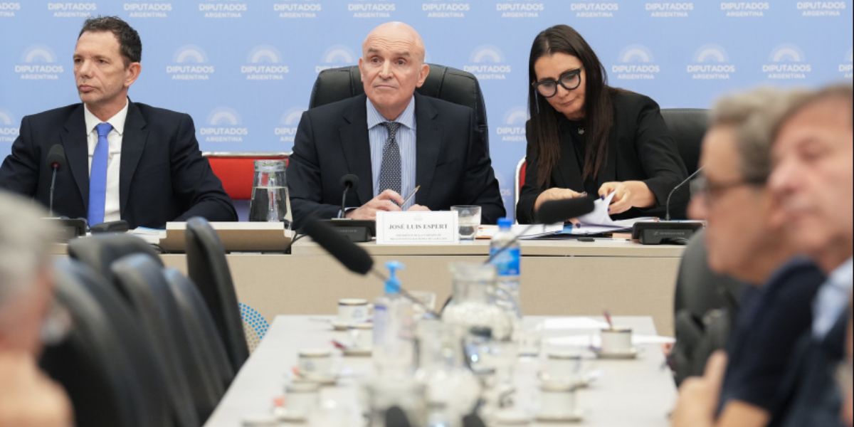 La oposición no logró desplazar a Espert de la Comisión de Presupuesto