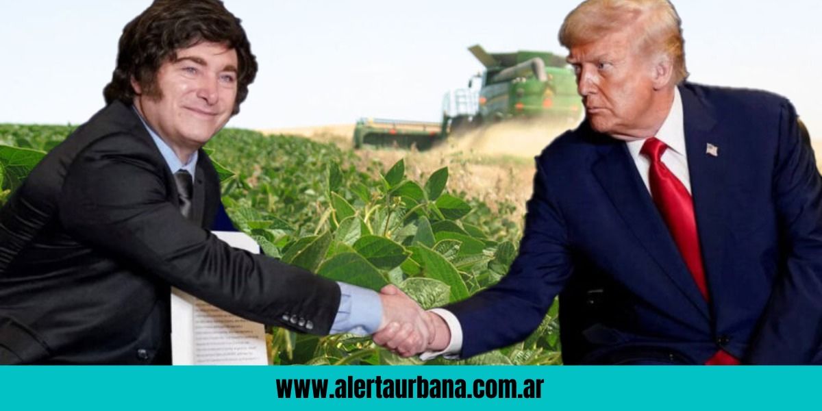 Guerra de la soja: el Congreso de EEUU cuestiona la ayuda a Milei por el impacto de la quita de retenciones
